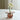 Dior Vase — Framboise
