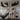Moving too fast - Jilly Frances - Mararamiro