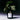 A Better Corporate Gift Smells Like a Fig Tree