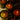 apothecary