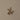 Comber Coral Branch Hook - Brass