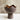 Ceramic bowl with wavy edge on a stand against a neutral background