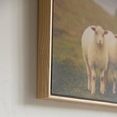 Icelandic Sheep by Katherine Holland