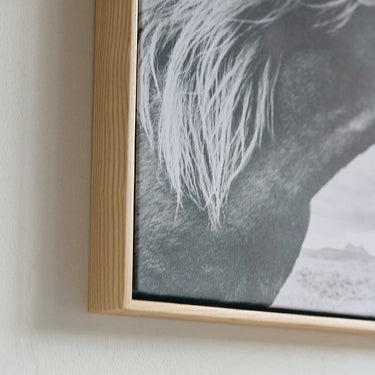 Wind & Mane, Iceland by Katherine Holland