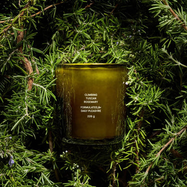 Climbing Tuscan Rosemary Candle - Flamingo Estate - Mararamiro