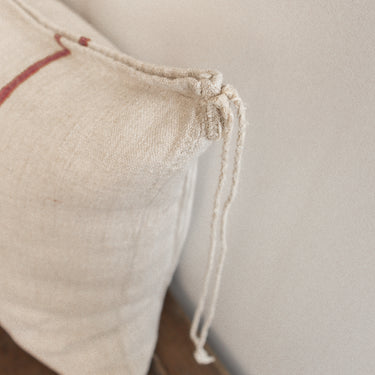 Grain Sack Pillow 21" x 21"