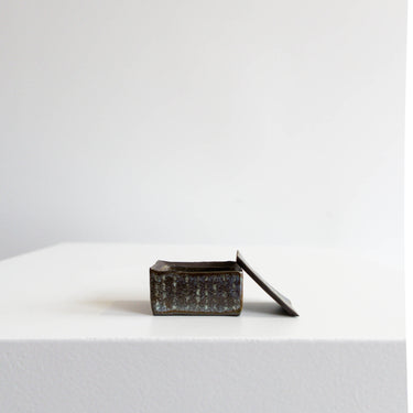 Lichen Miniature Box