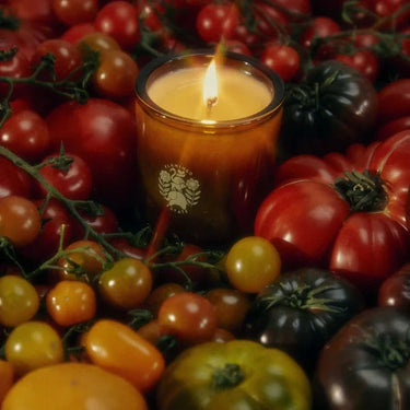 Roma Heirloom Tomato Candle - Flamingo Estate - Mararamiro