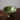 Olive Moroccan Tamegroute Bowl (21cm) - Mararamiro