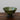 Olive Moroccan Tamegroute Bowl (21cm) - Mararamiro