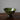 Olive Moroccan Tamegroute Bowl (21cm) - Mararamiro